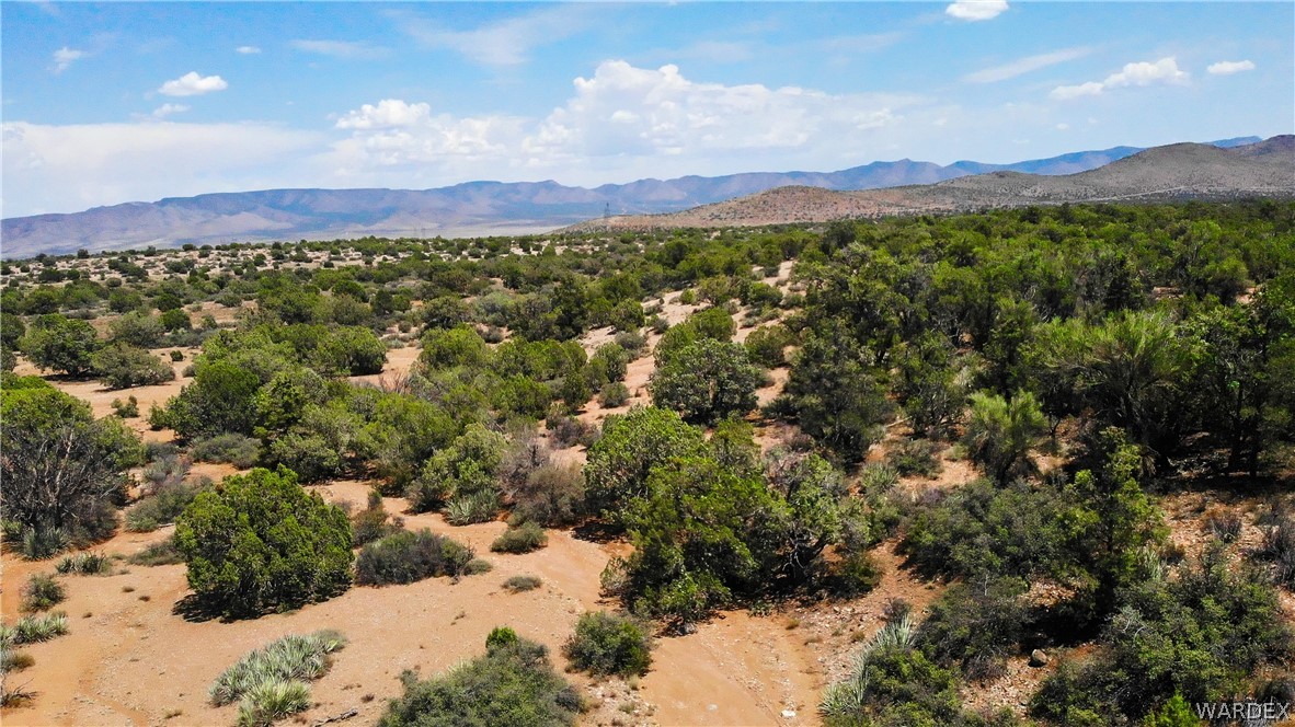0 Austin Loop Kingman, AZ 86401 - Photo 8 of 29 View