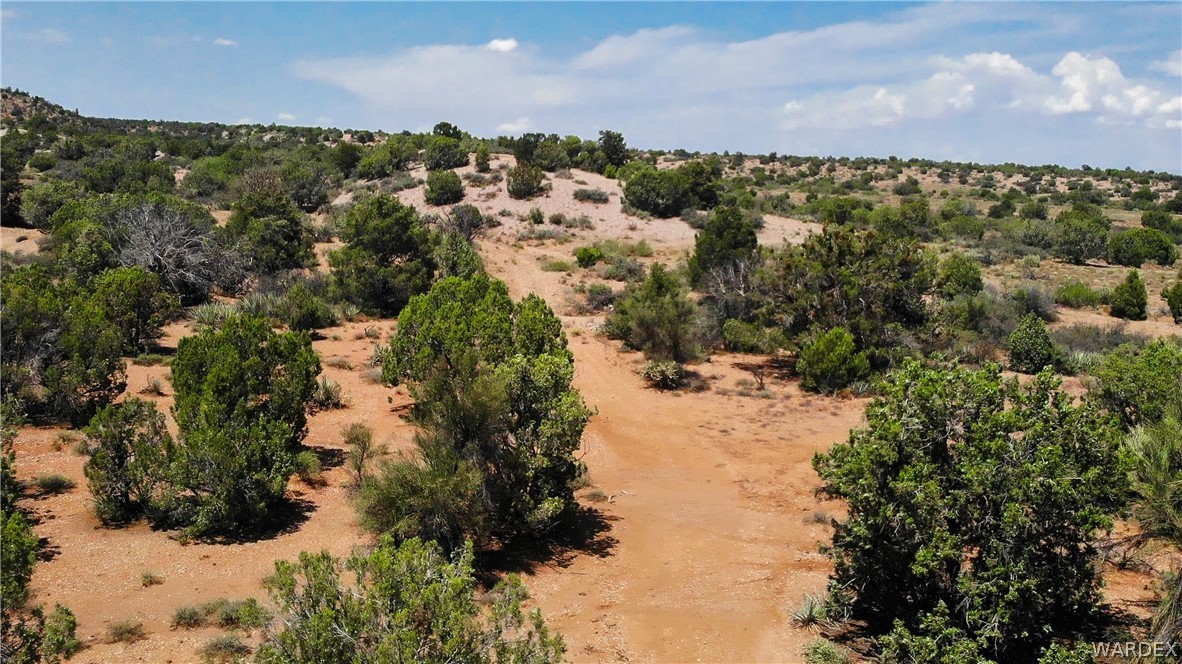 0 Austin Loop Kingman, AZ 86401 - Photo 10 of 29 Aerial View