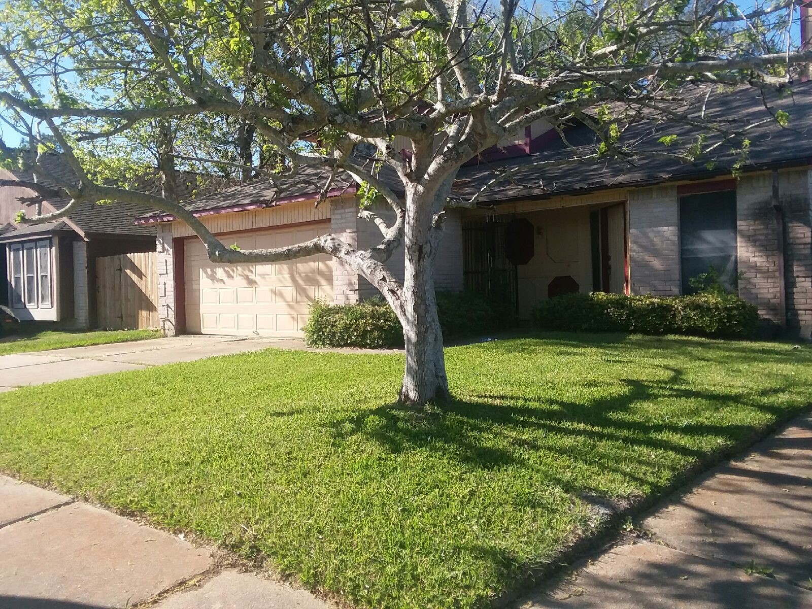 a view of a house with a tree in a yard