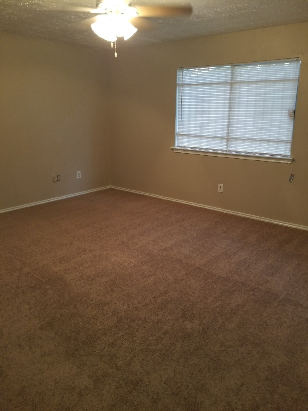 7902 Arbor Glen Road Houston, TX 77071 - Photo 5 of 9 an empty room with a window