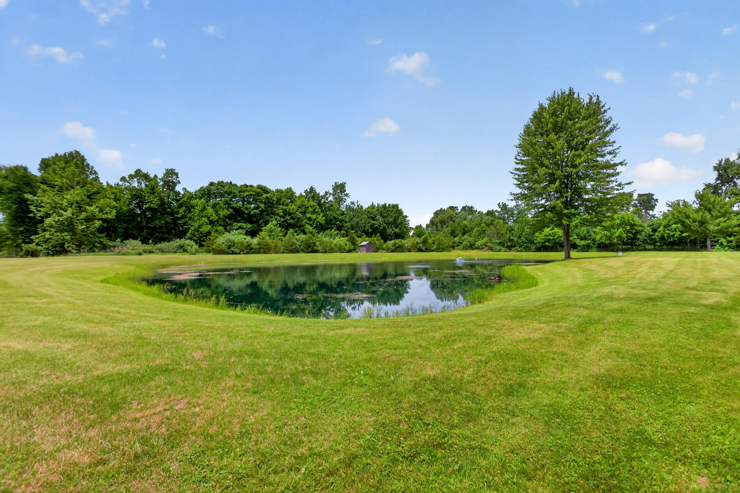 14520 Wheaton Road Brooklyn, MI 49230 - Photo 99 of 109 1-print-IMG_3328