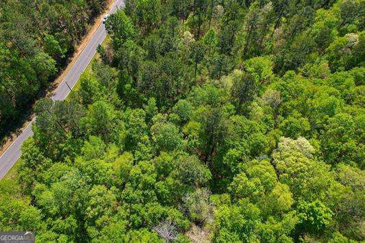 Lot 2 Old Copelan Road Eatonton, GA 31024 - Photo 2 of 6