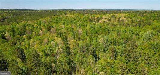 Lot 2 Old Copelan Road Eatonton, GA 31024 - Photo 3 of 6