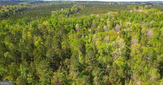 Lot 2 Old Copelan Road Eatonton, GA 31024 - Photo 4 of 6