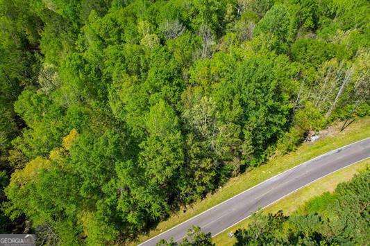 Lot 2 Old Copelan Road Eatonton, GA 31024 - Photo 6 of 6