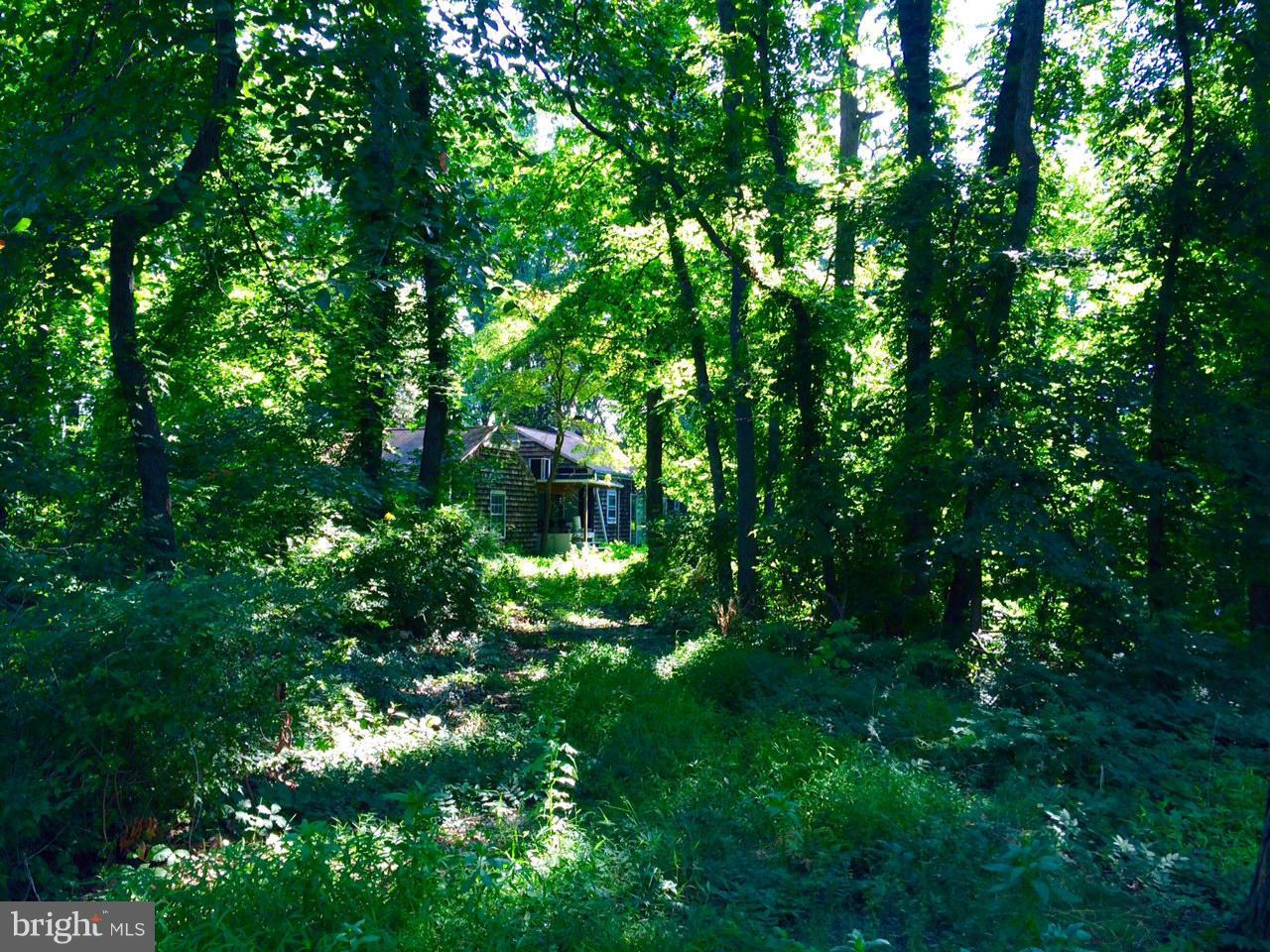 2201 Laurel Ridge Road Vienna, VA 22181 - Photo 3 of 6 Exterior (Front)