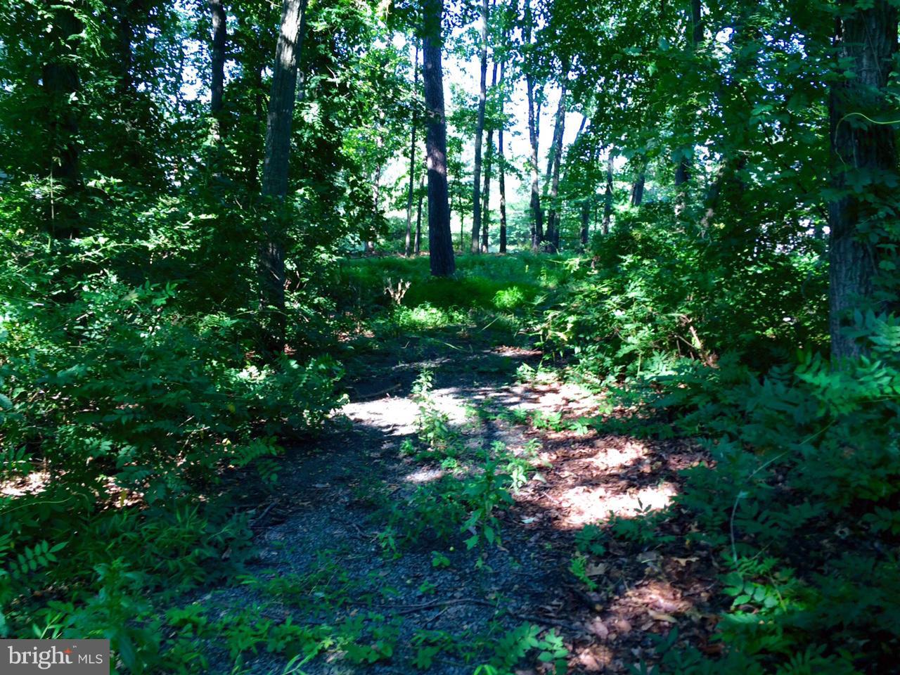 2201 Laurel Ridge Road Vienna, VA 22181 - Photo 4 of 6 Exterior (Front)