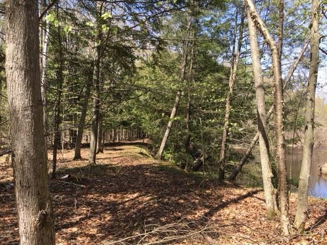 Nhn Metzke Road Alpena, MI 49707 - Photo 12 of 17 Gallery Image 12