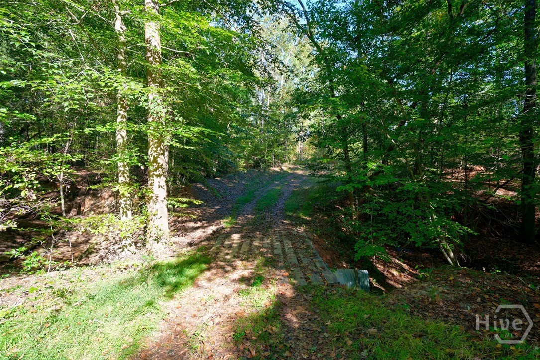 1 Bridges Road Carlton, GA 30627 - Photo 14 of 33