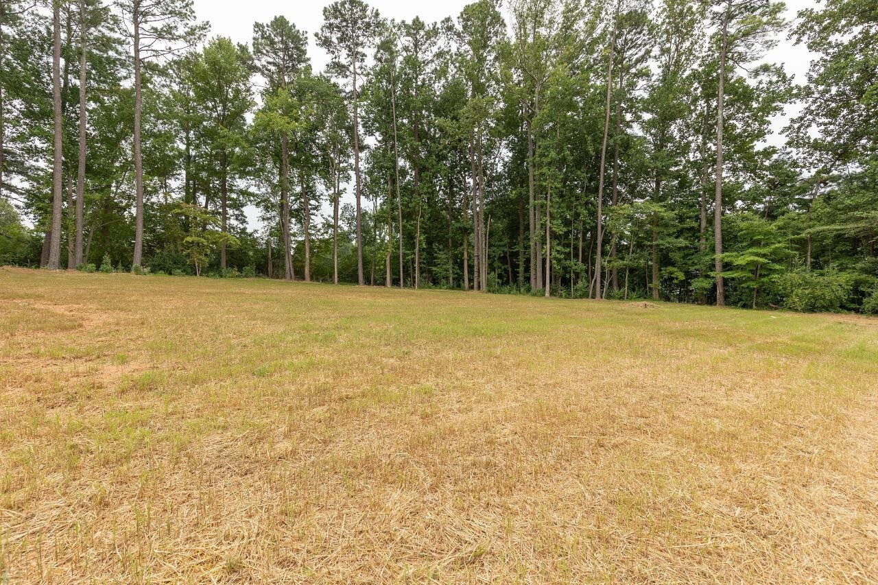 9616 Chris Drive Raleigh, NC 27603 - Photo 11 of 42 a view of empty field with trees in background