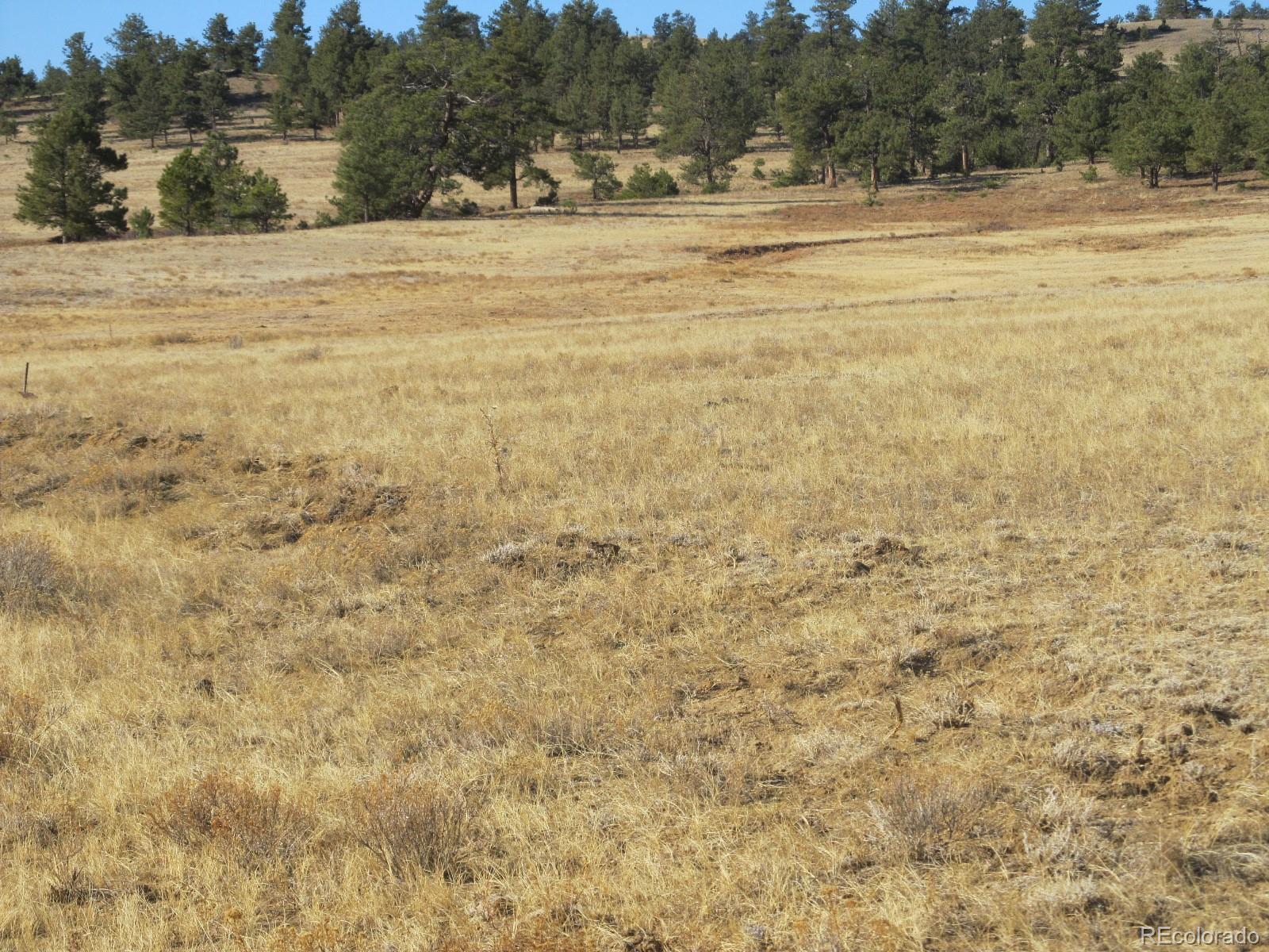 Chotaw Road Hartsel, CO 80449 - Photo 12 of 21 Gallery Image 12