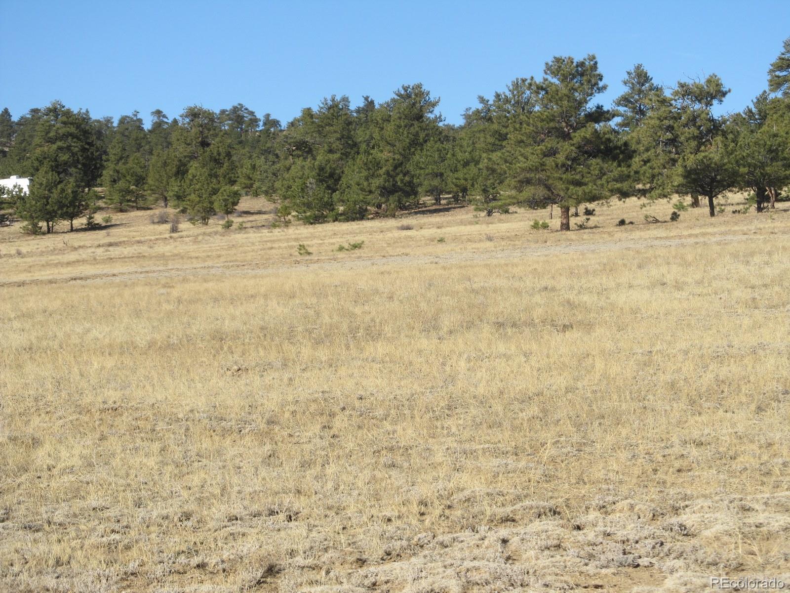 Chotaw Road Hartsel, CO 80449 - Photo 7 of 21 Gallery Image 7