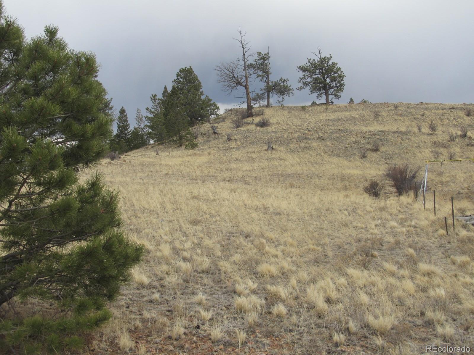 Chotaw Road Hartsel, CO 80449 - Photo 8 of 21 Gallery Image 8
