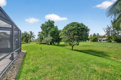a view of a yard with a tree