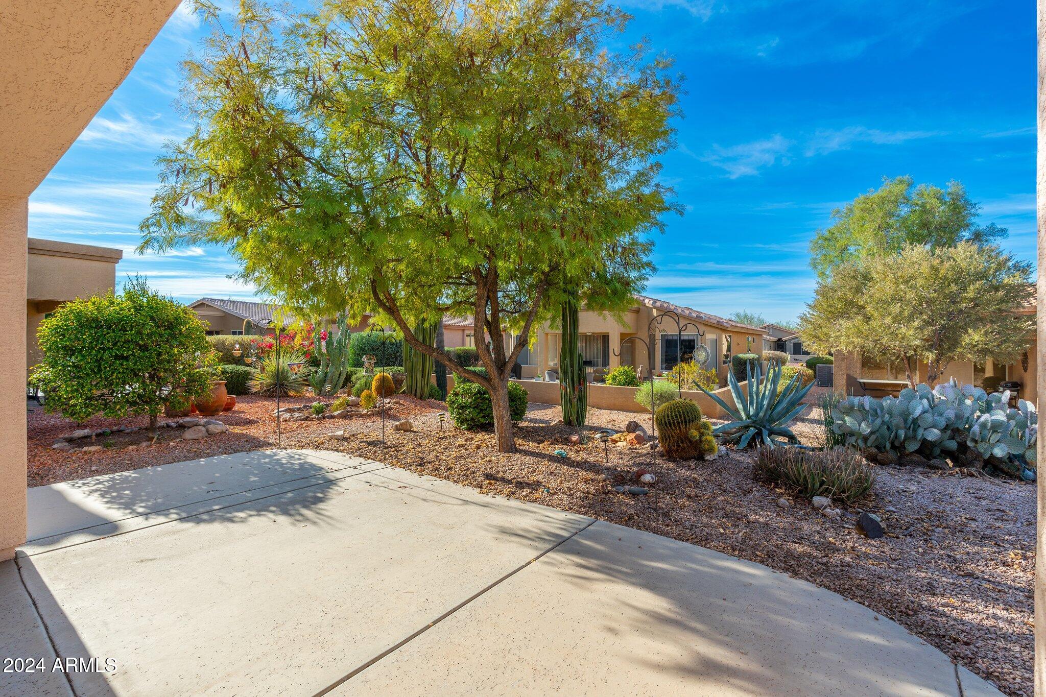 7573 Rugged Ironwood Road Gold Canyon, AZ 85118 - Photo 21 of 34 Backyard