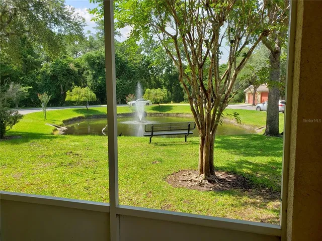 a view of a garden from a window