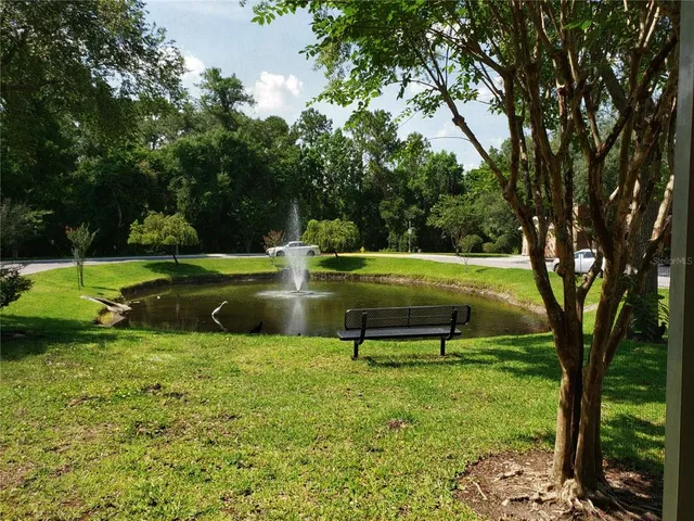 a view of a park with large trees