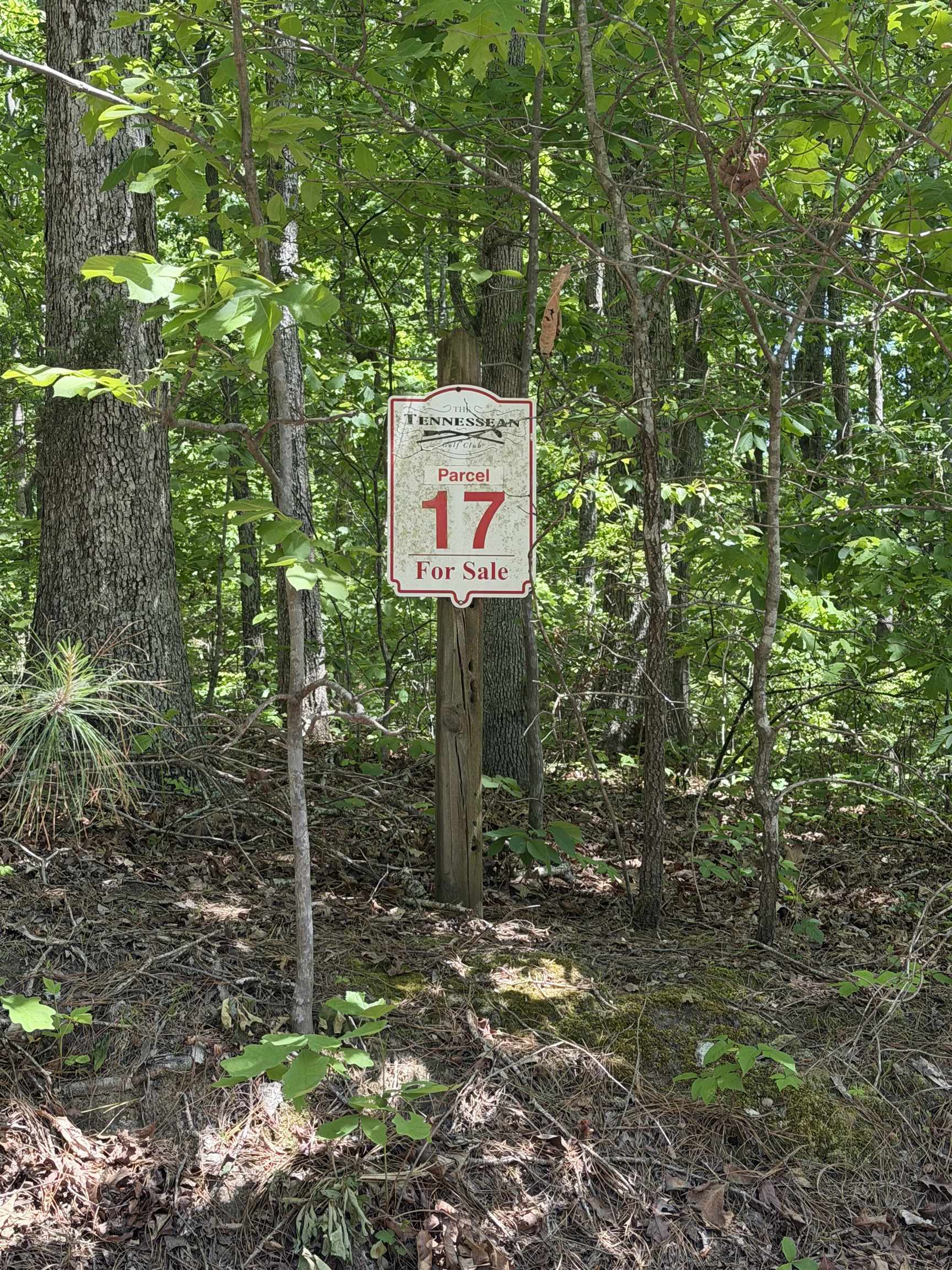 0 Masters Place Springville, TN 38256 - Photo 2 of 2 a sign that is sitting in the middle of a forest