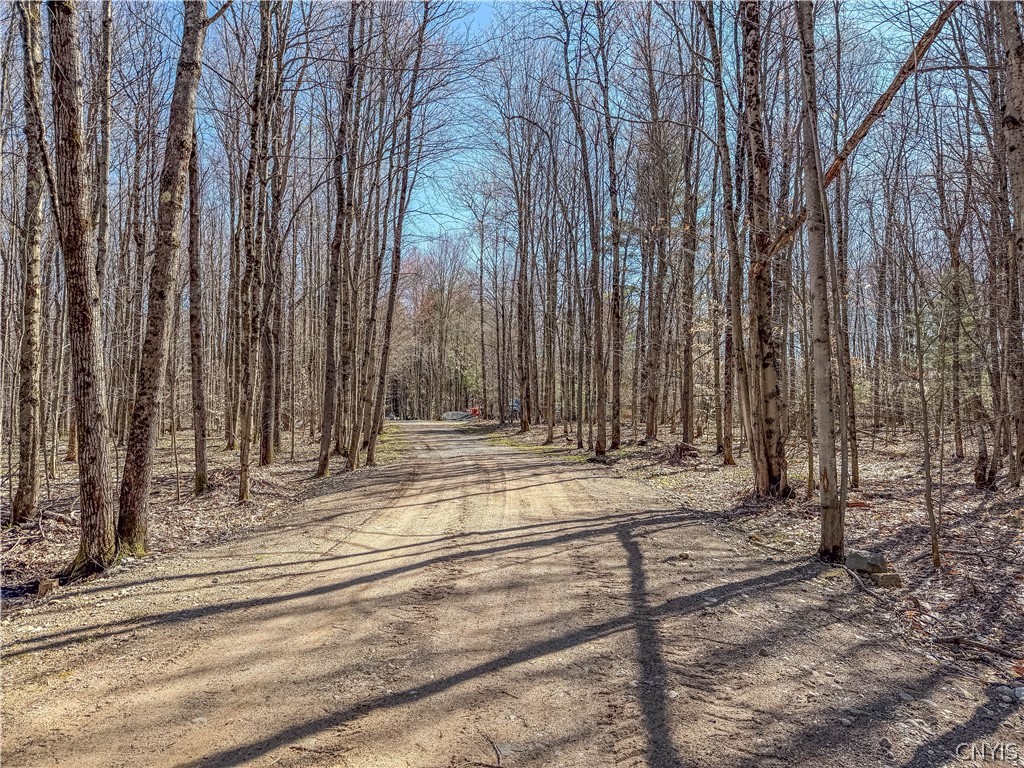3976 Factory Road Diana, NY 13665 - Photo 44 of 46