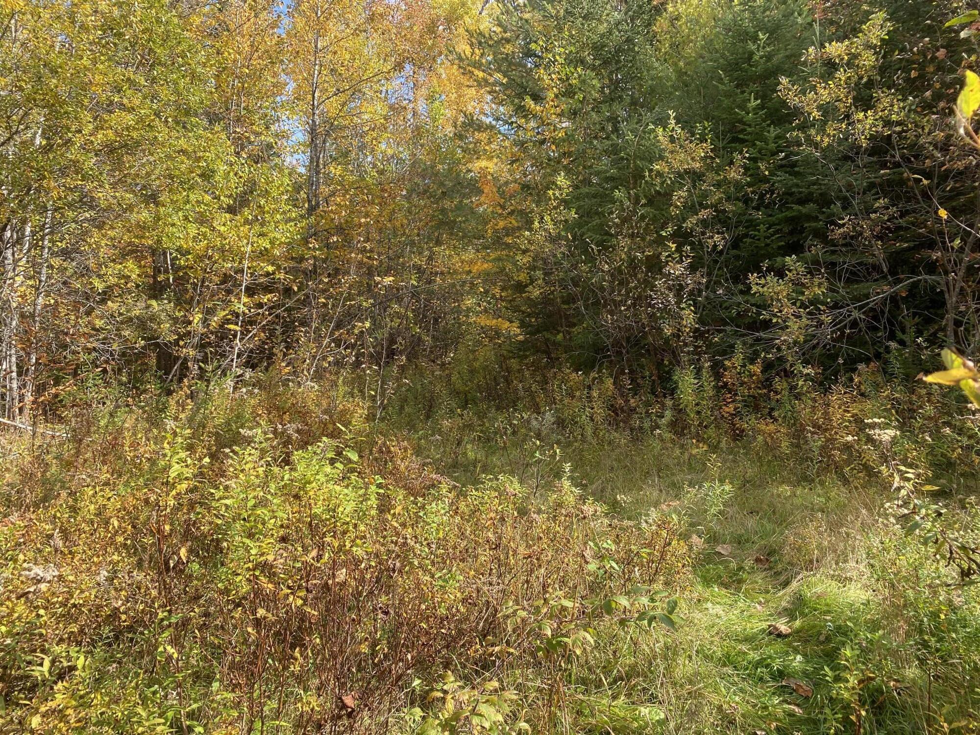 128 Elliotsville Road Monson, ME 04464 - Photo 1 of 14 Pic 1