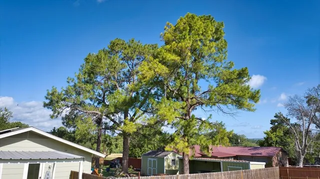 a view of a house with a tree