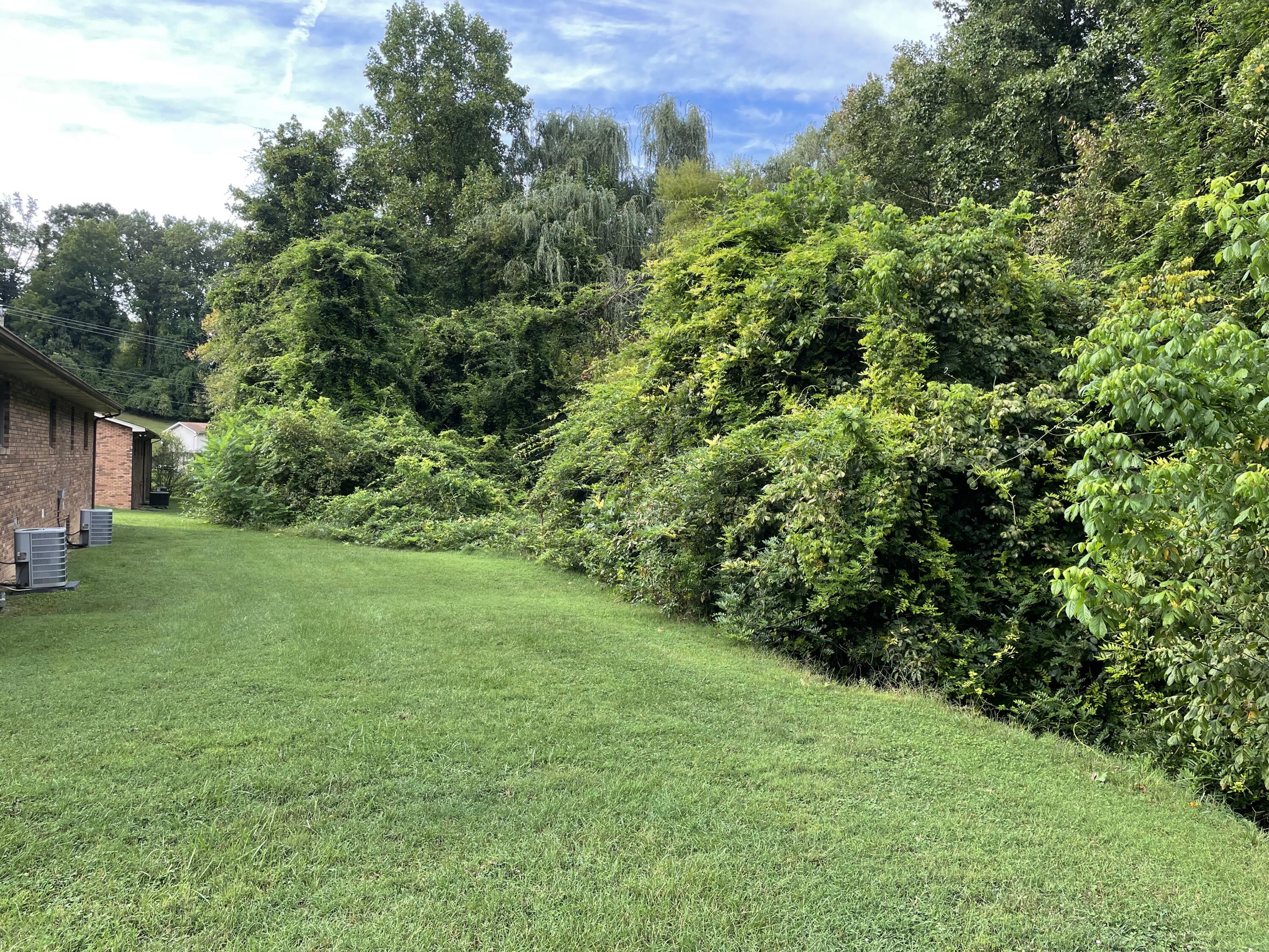 435 Ridgefields Road, Unit 2B Kingsport, TN 37660 - Photo 16 of 17 016Ridgefields_435