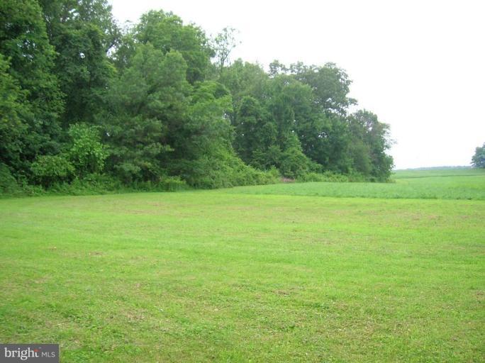 22 St Marys Road Pylesville, MD 21132 - Photo 12 of 13 Wooded View / Acreage