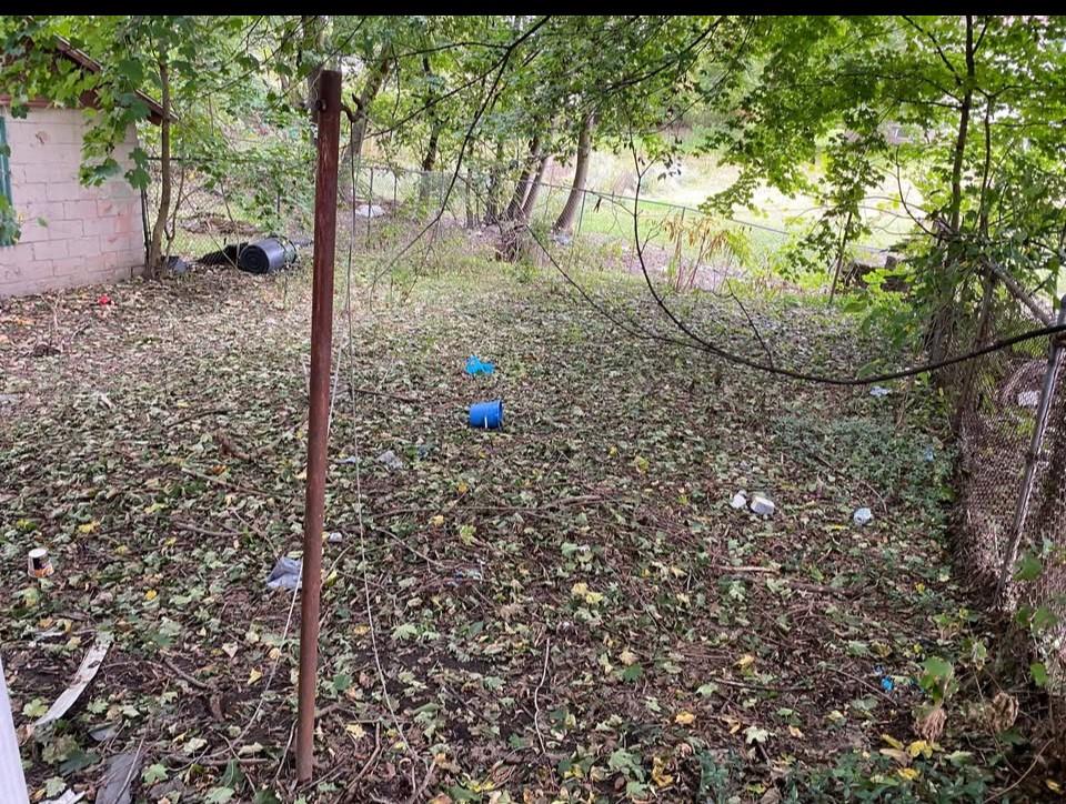 439 Malleable Street Sharon, PA 16146 - Photo 19 of 20 a view of a tree in the yard