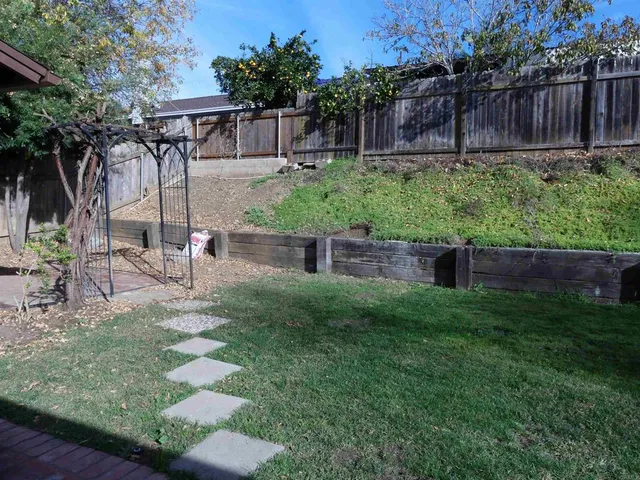a view of a backyard with a tree