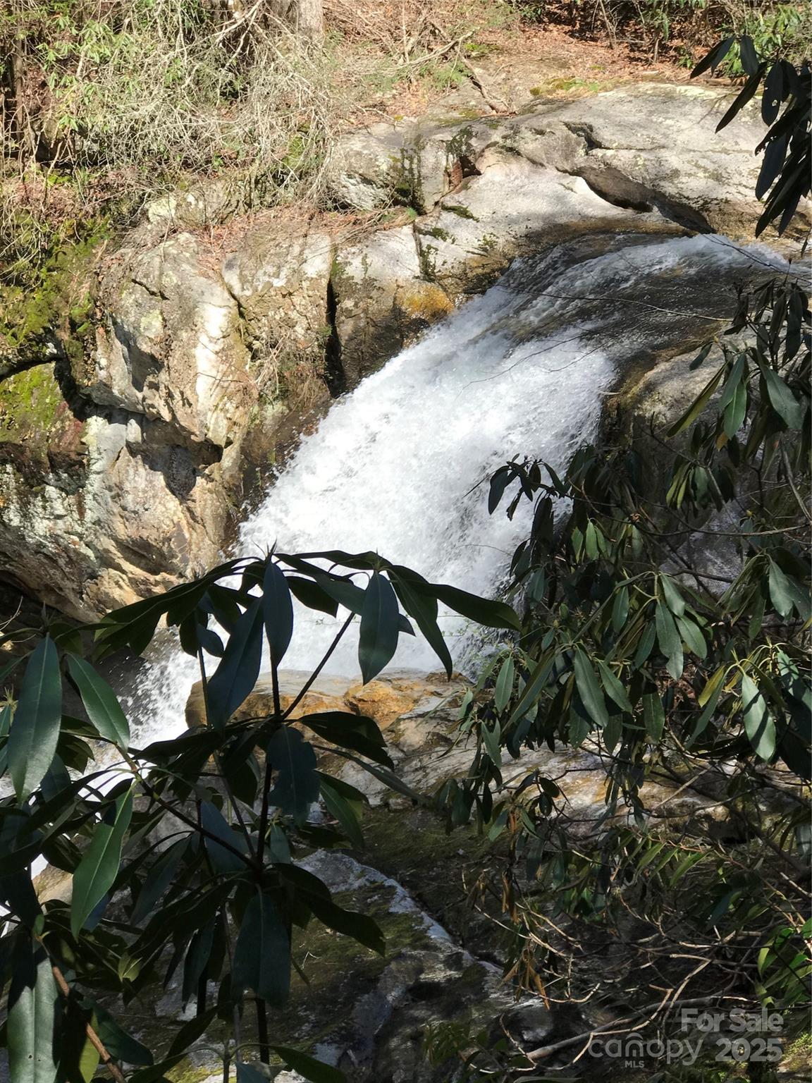 87 Stepp Ridge Court Hendersonville, NC 28792 - Photo 2 of 6