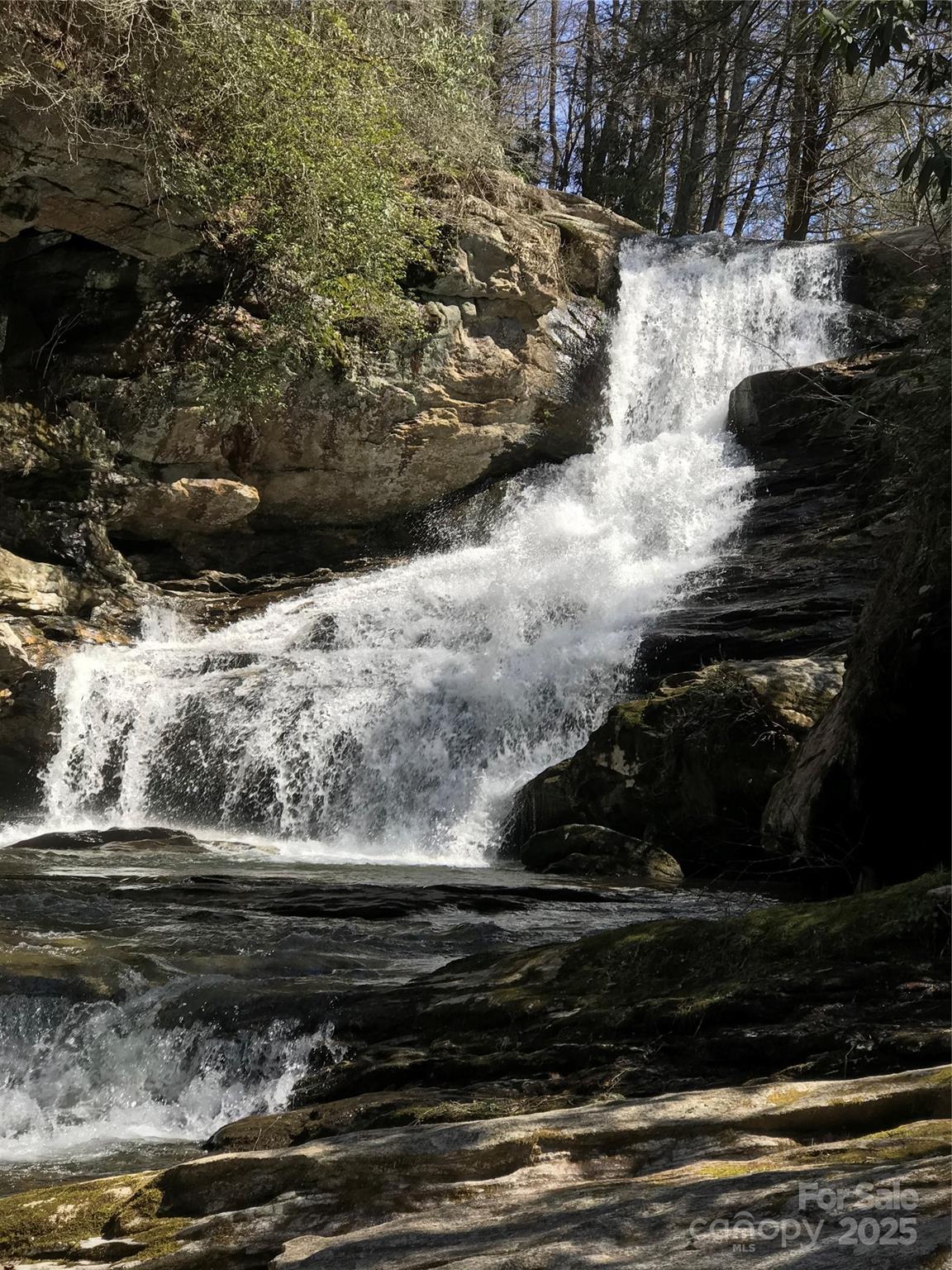 87 Stepp Ridge Court Hendersonville, NC 28792 - Photo 3 of 6