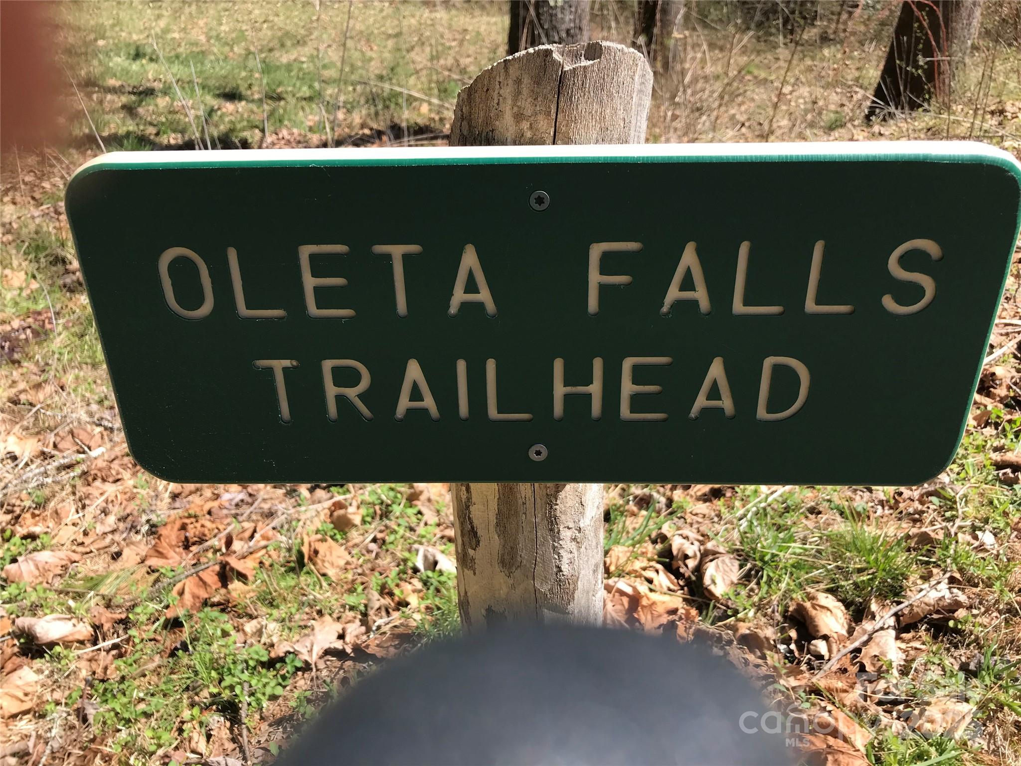 87 Stepp Ridge Court Hendersonville, NC 28792 - Photo 4 of 6