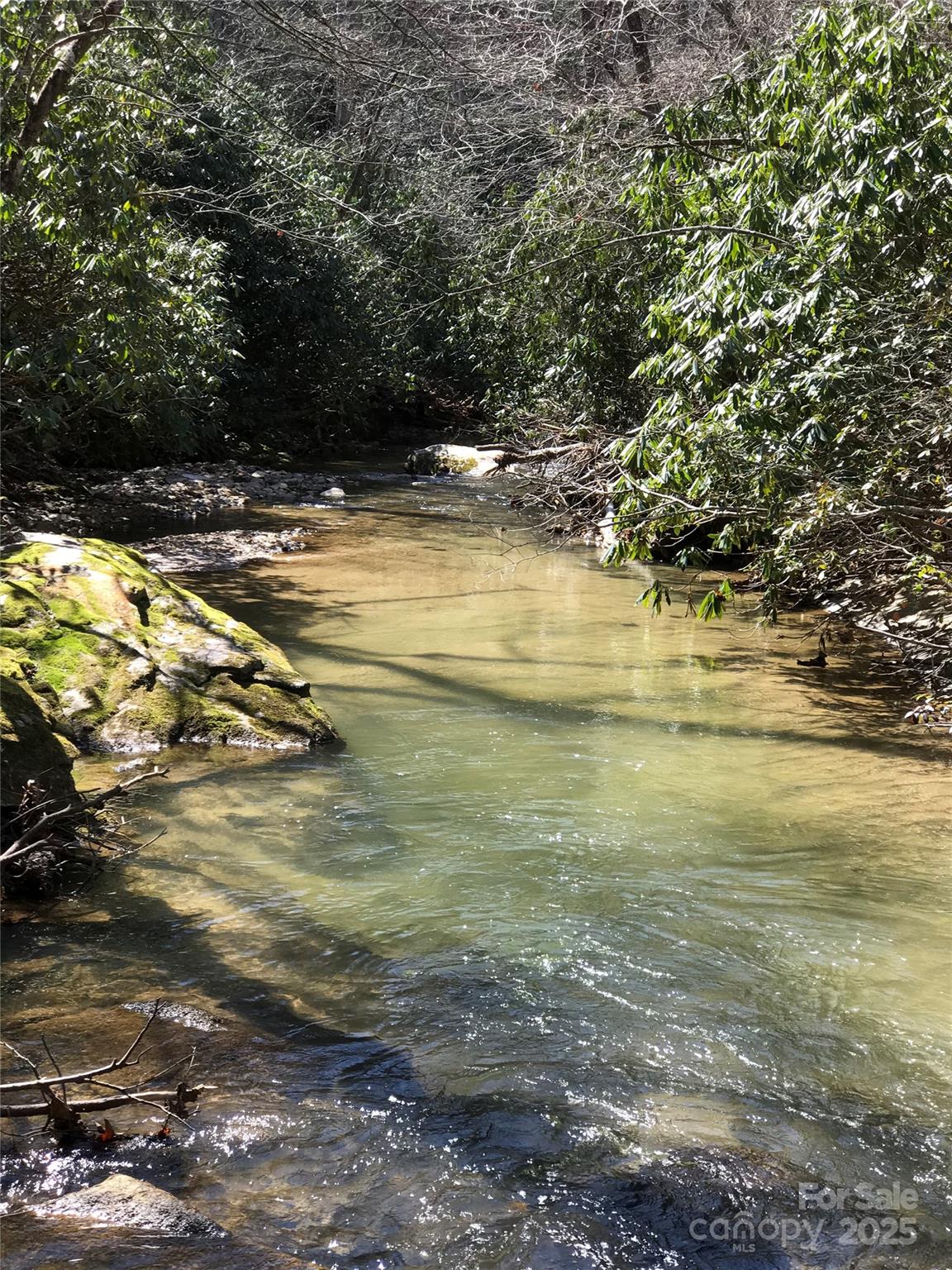 87 Stepp Ridge Court Hendersonville, NC 28792 - Photo 5 of 6