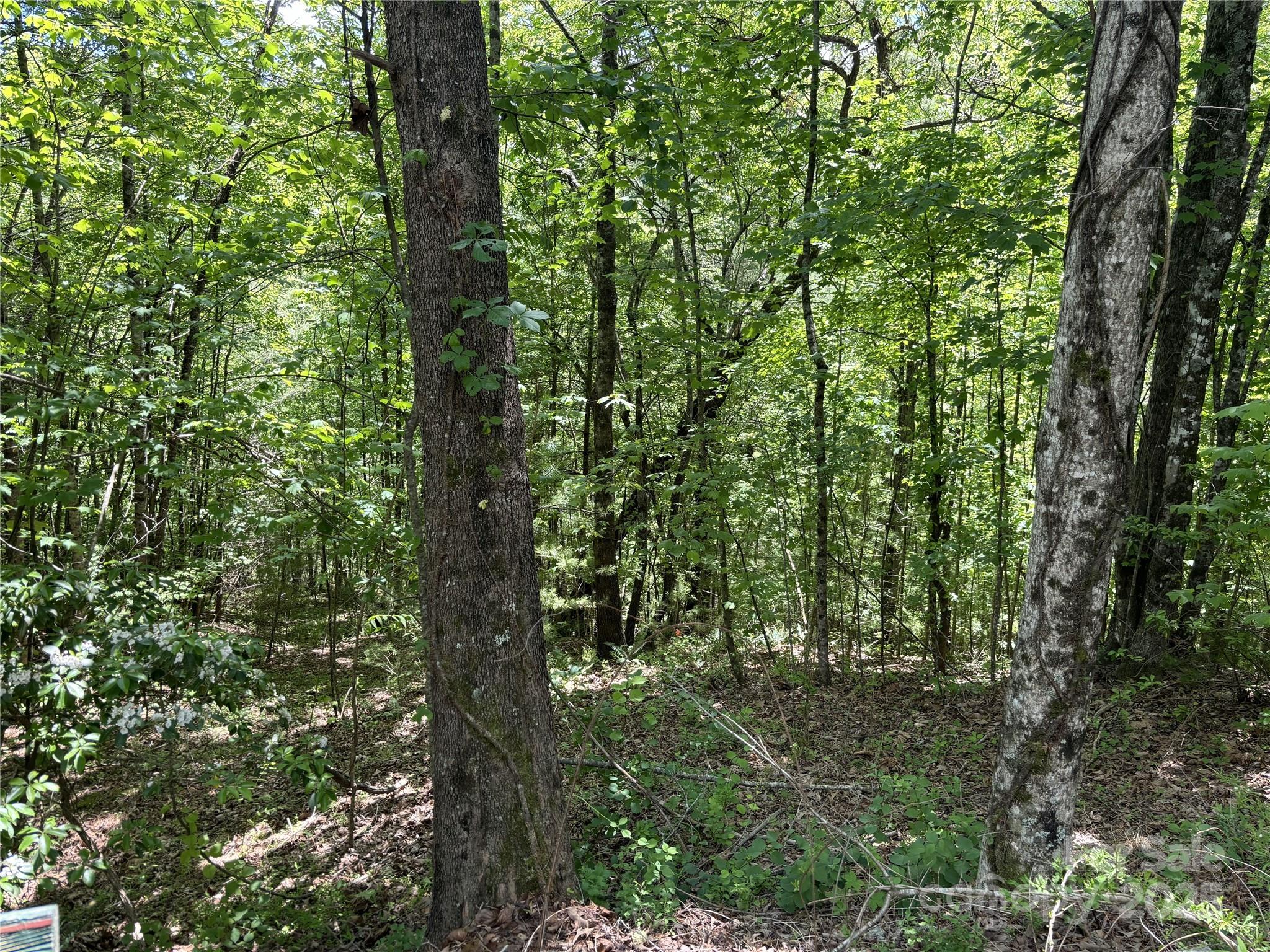 87 Stepp Ridge Court Hendersonville, NC 28792 - Photo 6 of 6