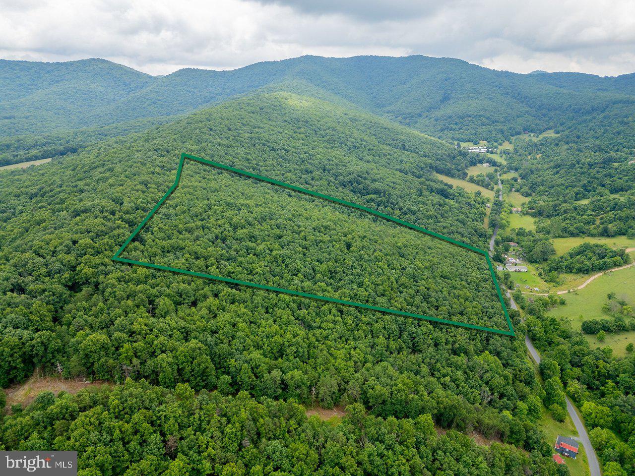 Cubbage Hollow Road Stanley, VA 22851 - Photo 3 of 36 a view of a lush green hillside and a mountain