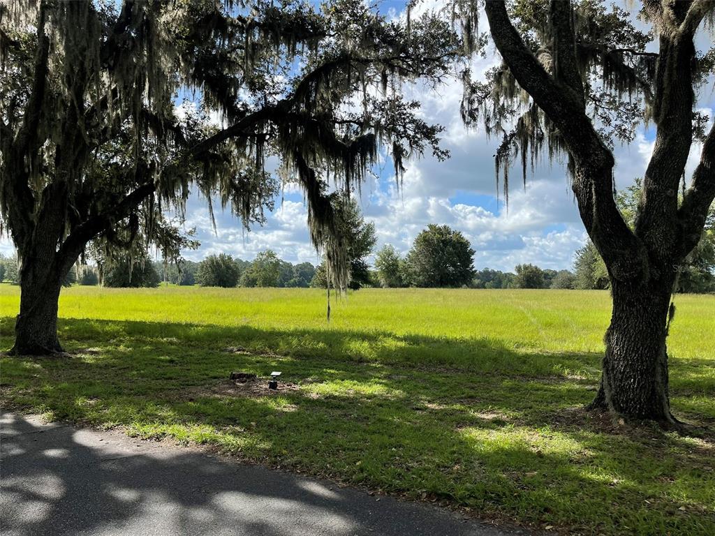 Tbd Southeast 116th Pl Road Ocala, FL 34480 - Photo 4 of 8 Gallery Image 4