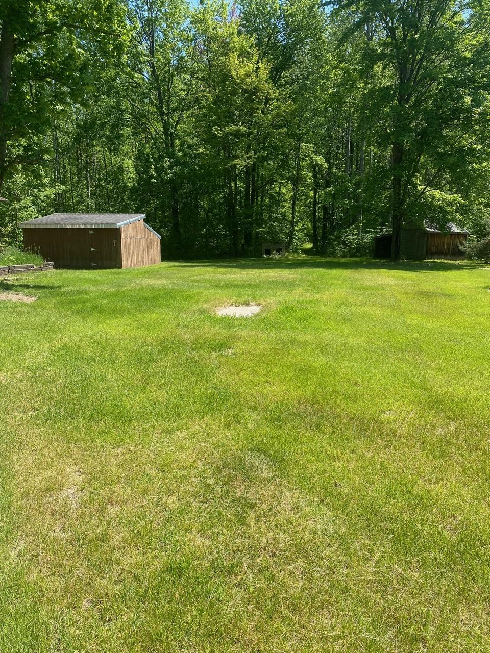 3302 Dana Road Coleman, MI 48618 - Photo 10 of 50