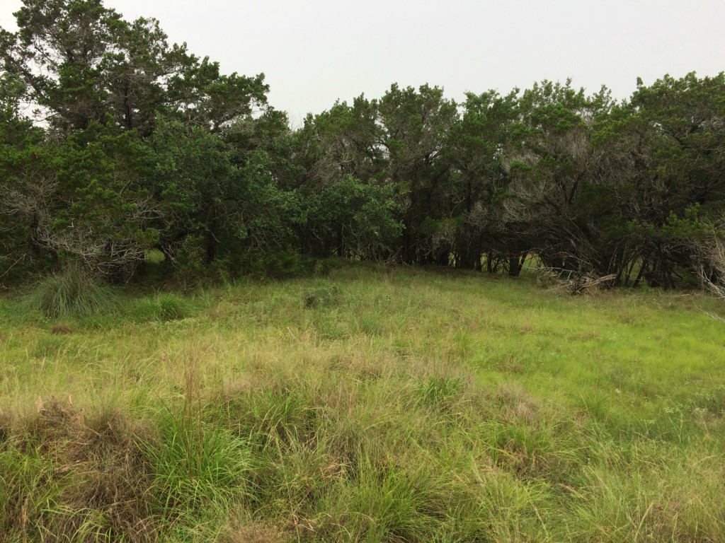 13100 Trautwein Road Austin, TX 78737 - Photo 1 of 1 Gallery Image 1