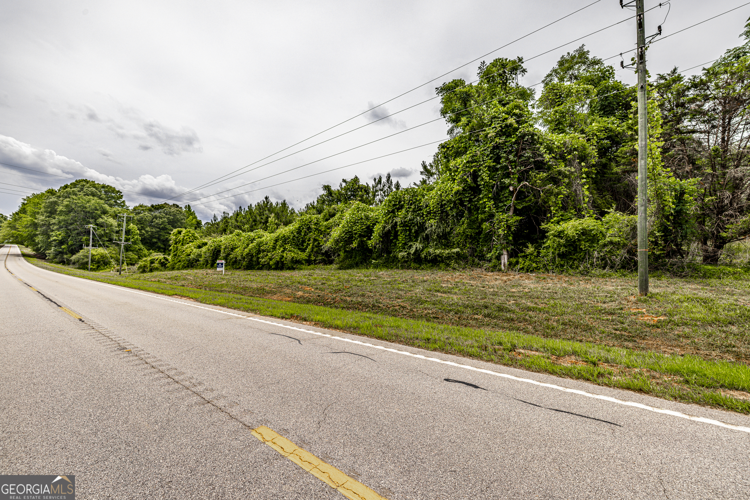 0 Washington Highway Union Point, GA 30669 - Photo 10 of 22