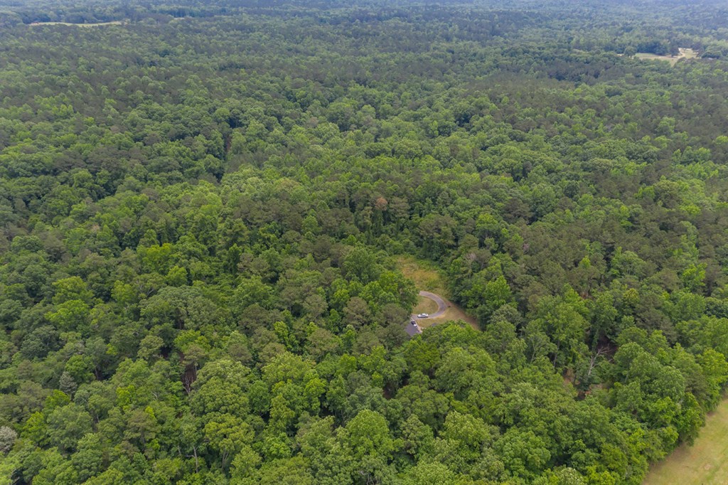 11000 County Line Road Midland, GA 31820 - Photo 15 of 47 Gallery Image 15