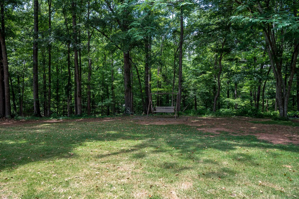 11000 County Line Road Midland, GA 31820 - Photo 42 of 47 Gallery Image 42