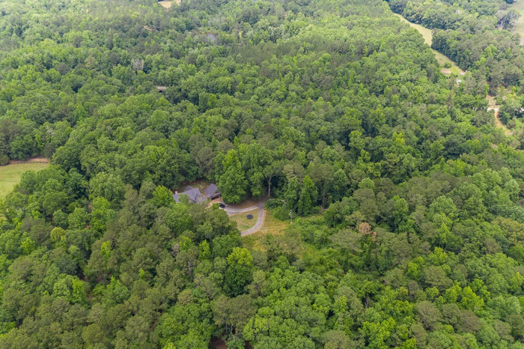 11000 County Line Road Midland, GA 31820 - Photo 7 of 47 Gallery Image 7
