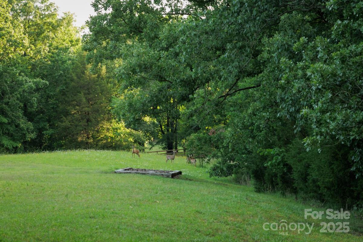 4816 Zion Church Road Concord, NC 28025 - Photo 36 of 43 Gallery Image 36