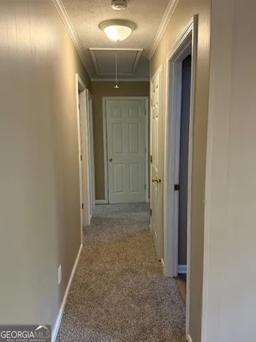 a view of hallway with shower