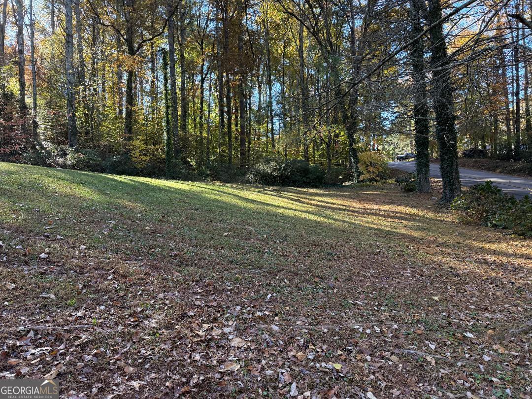 238 Settlers Point Clarkesville, GA 30523 - Photo 19 of 27 a view of a yard with trees