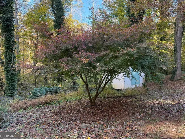 a view of a trees and yard