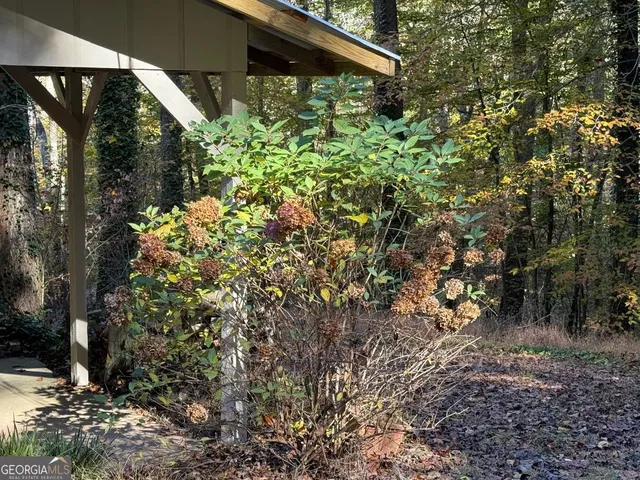 a view of a house with a tree