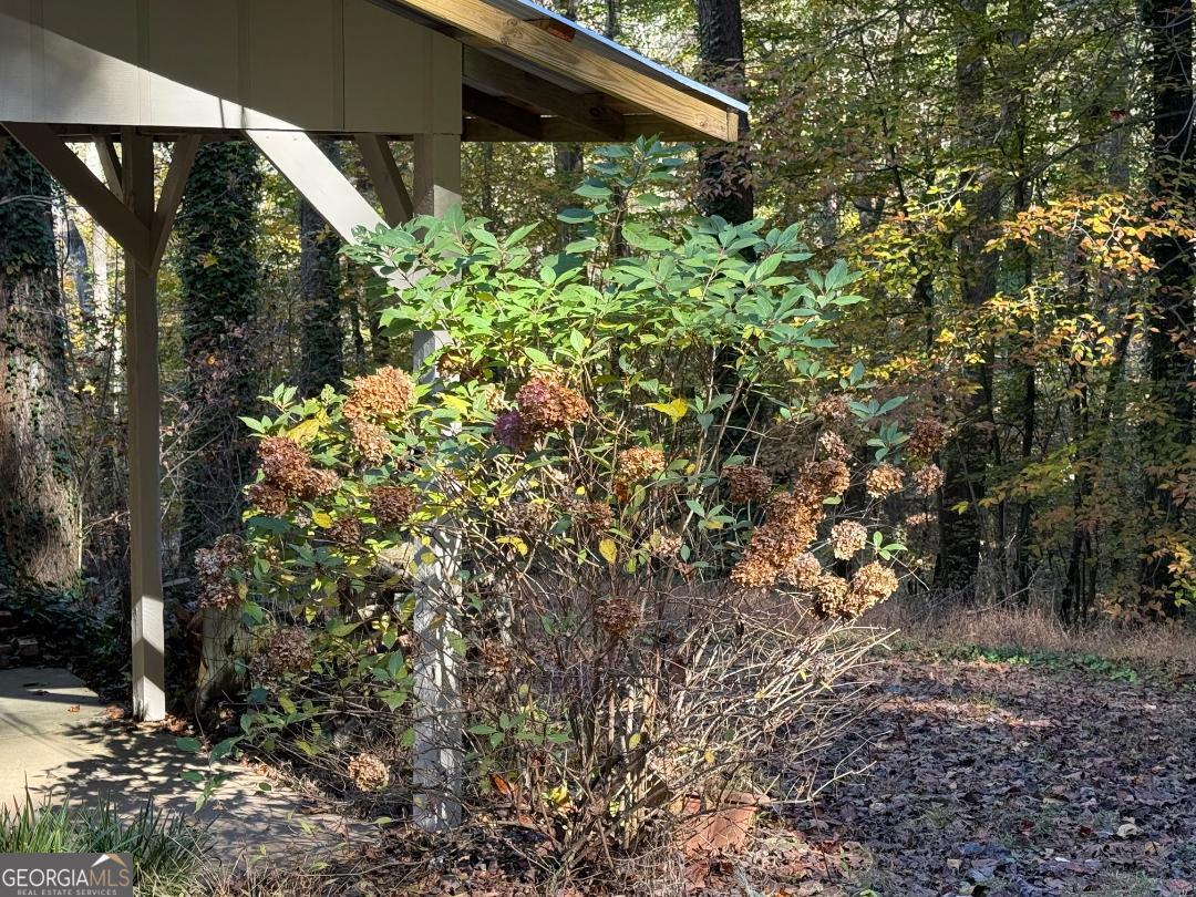 238 Settlers Point Clarkesville, GA 30523 - Photo 21 of 27 a view of a house with a tree