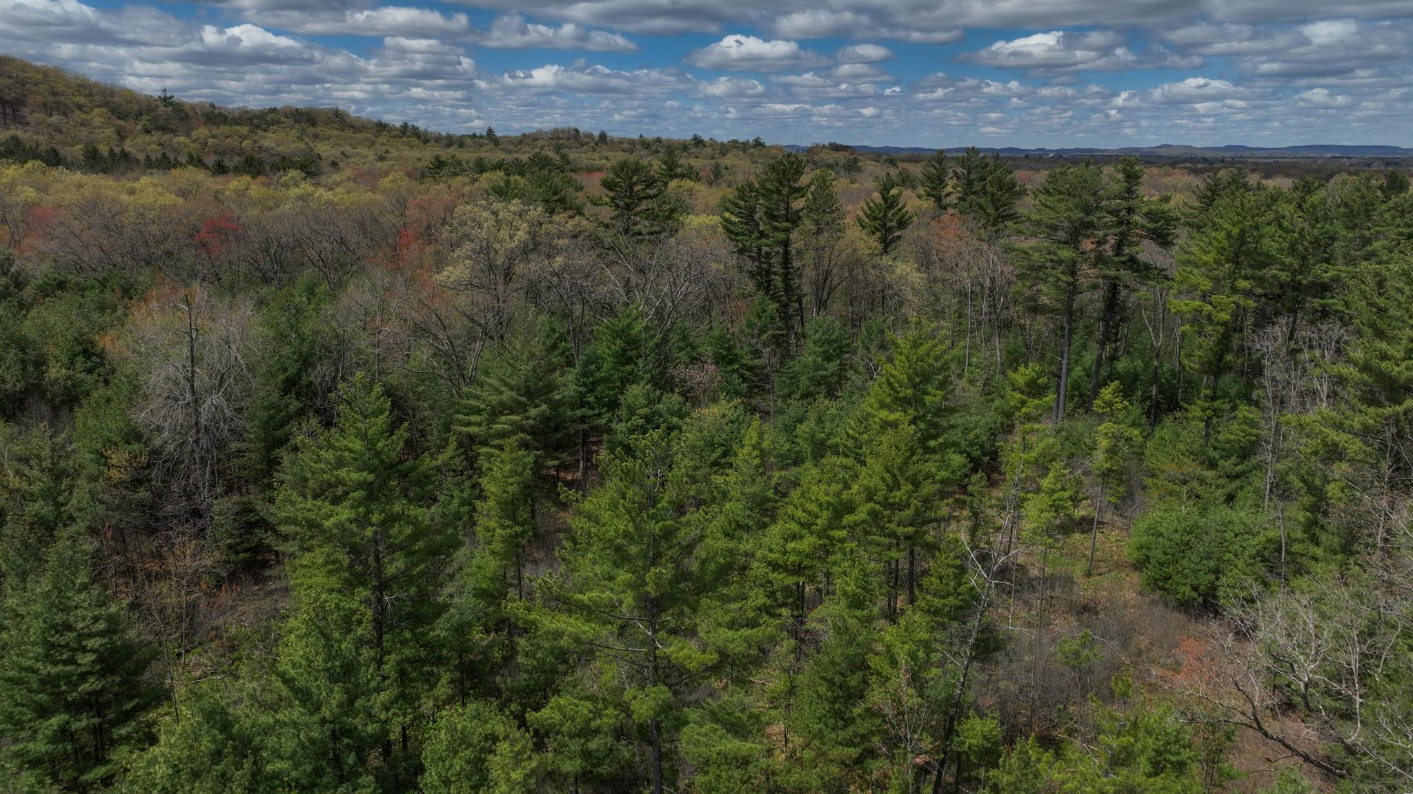 Lot 4 Grayling Tomah, WI 54660 - Photo 18 of 50