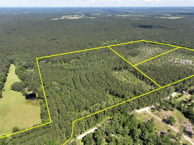 $128,000 | 38 Groveton Flat Prairie Road, Groveton, TX 75845